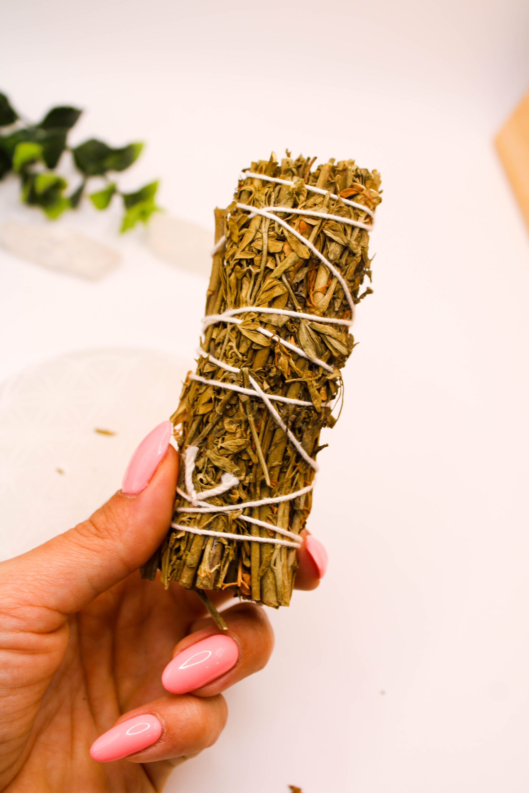 Ruda. Atadillo de Ruda