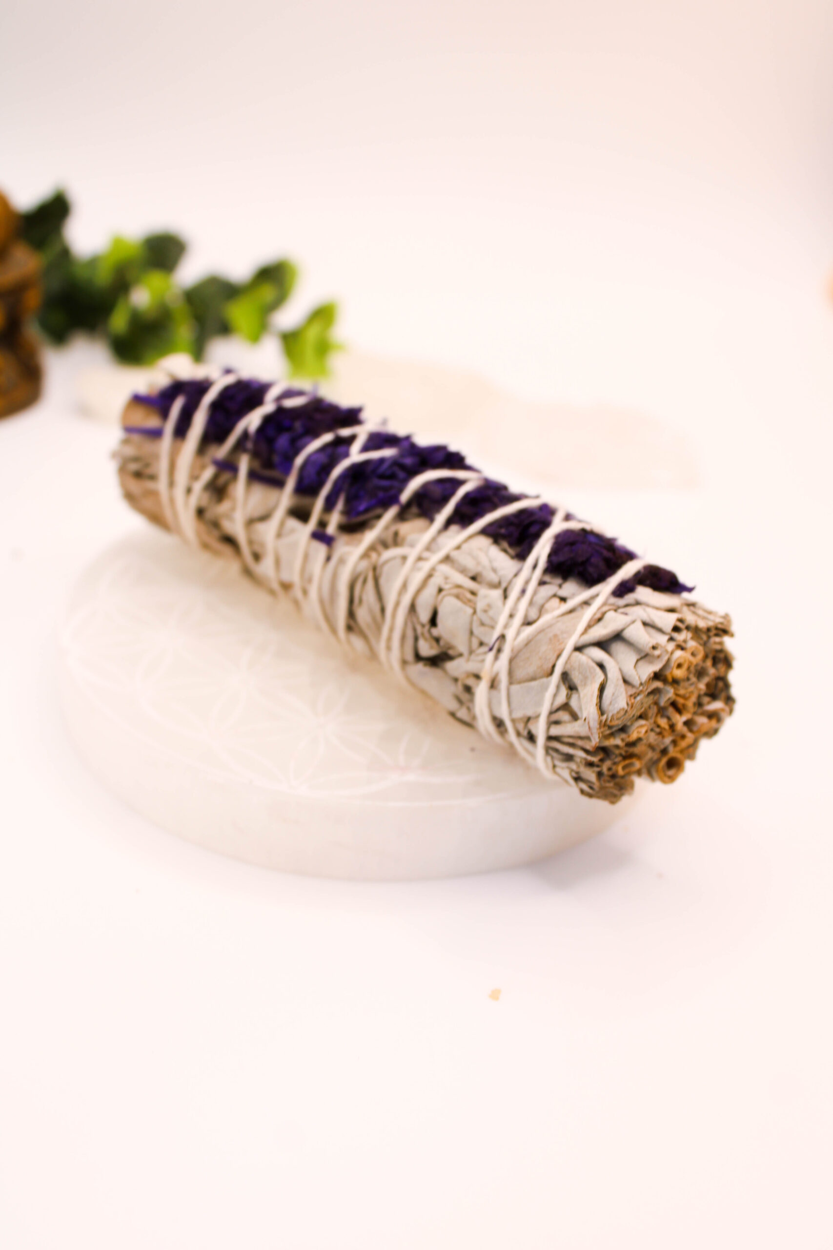 Salvia Blanca con Lavanda 1