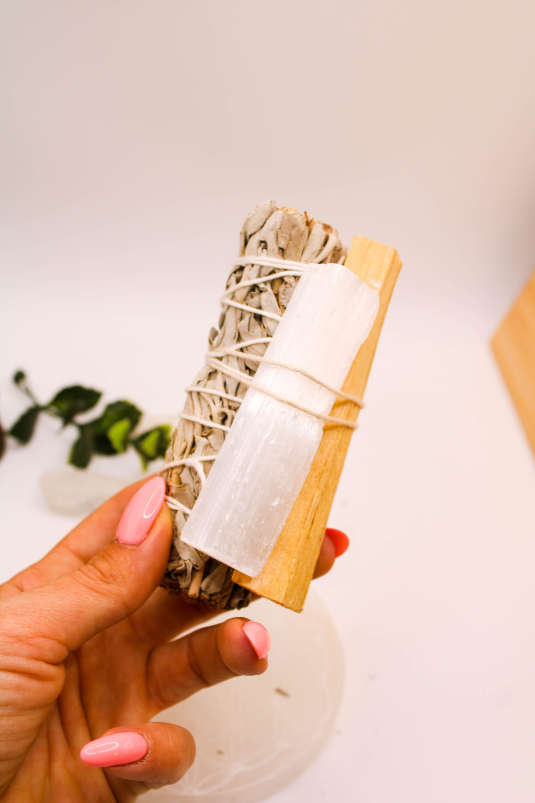 Salvia Blanca con Palo Santo y Selenita