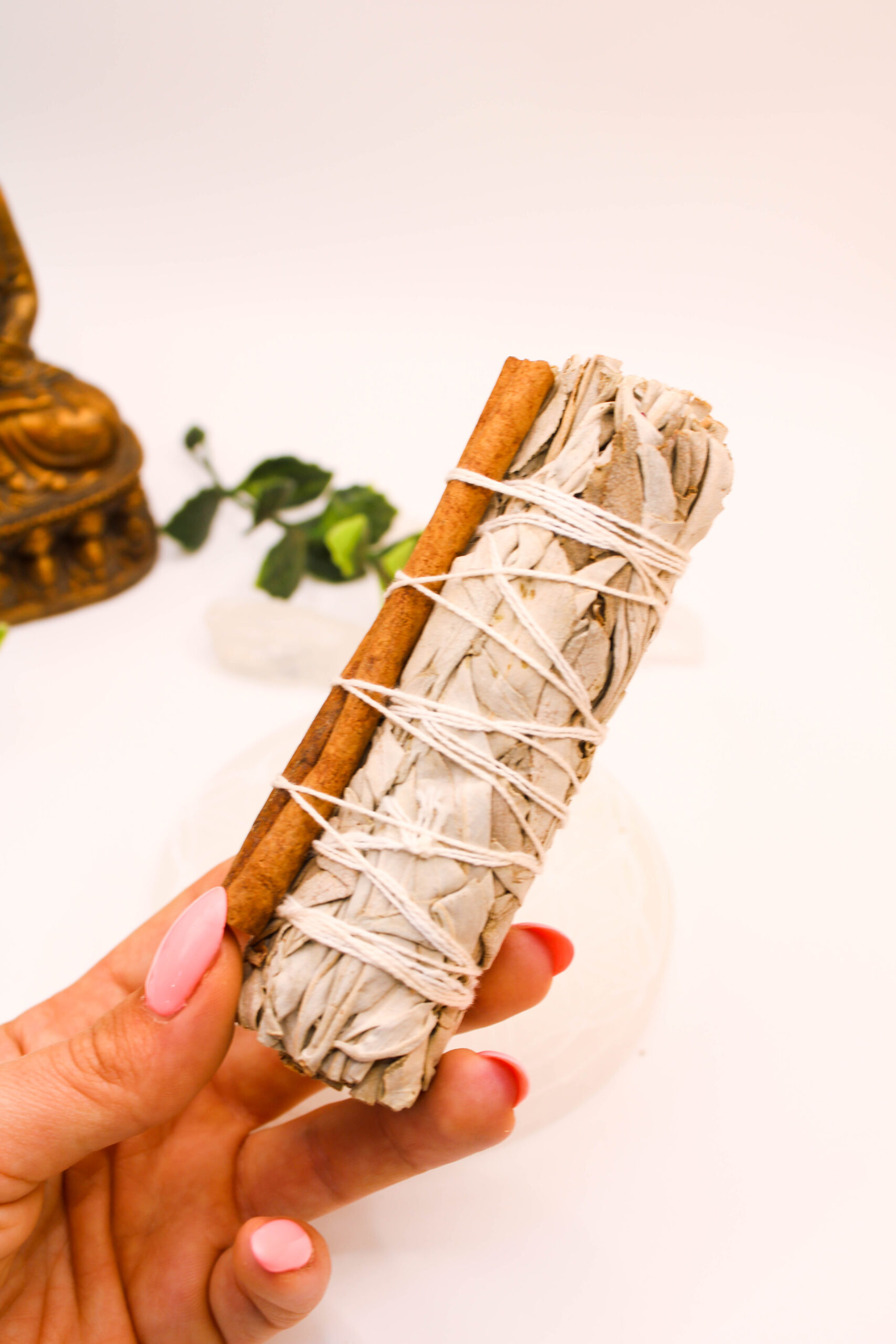 Salvia Blanca con Canela en Rama 4