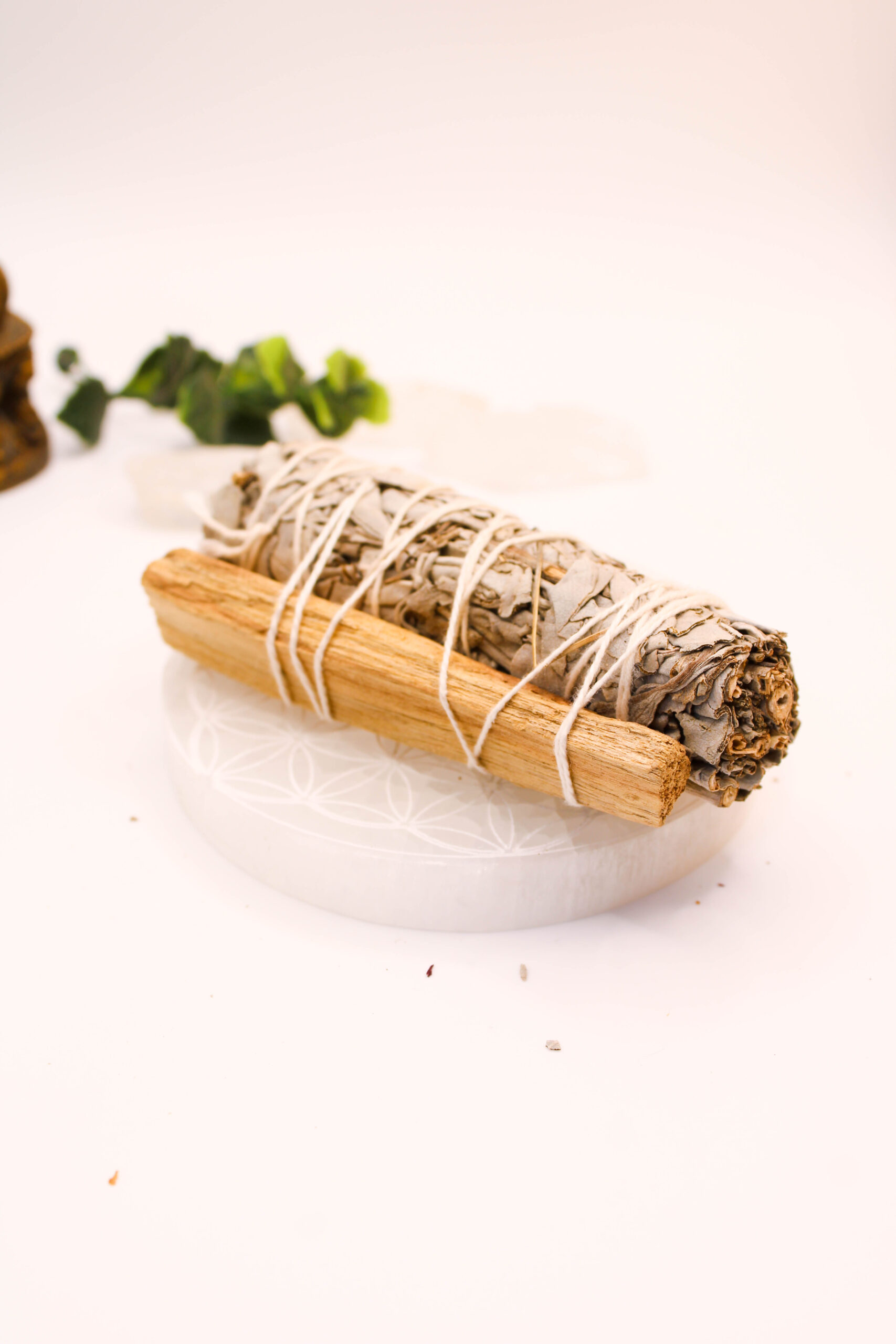 Salvia Blanca con Palo Santo 1