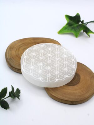 placa de selenita flor de la vida 10 cm